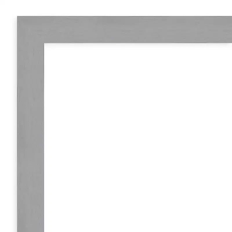 22" x 28" Non-Beveled Brushed Nickel Wall Mirror - Modern Rectangle, Includes Mounting Hardware